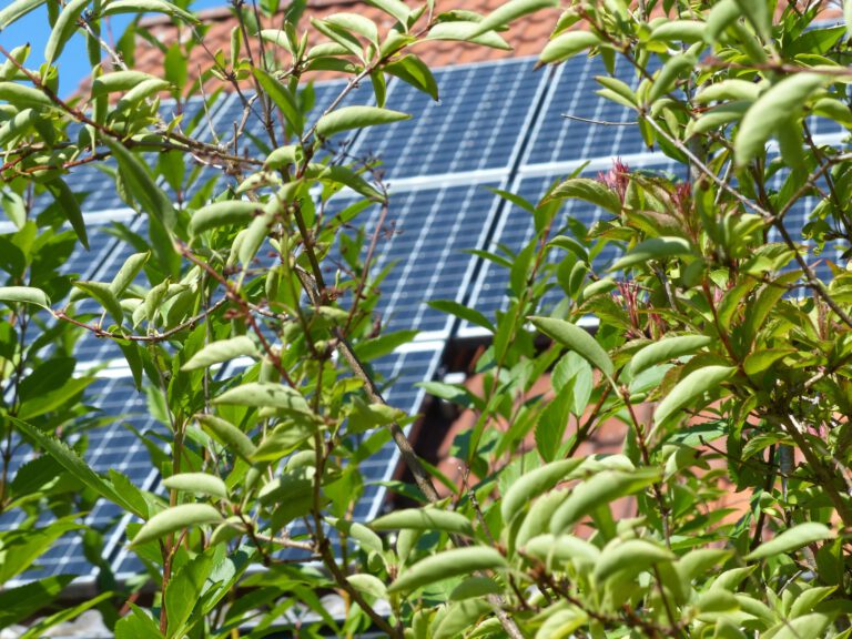 Antrag: Photovoltaik für das Stadtgebiet Feuchtwangen